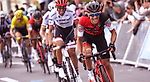 Richie Porte Returns to Racing at Japan Cup Cycle Road Race - BMC Switzerland