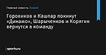 Горовиков и Кашпар покинут «Динамо», Шарыченков и Корягин вернутся в команду - Хоккей - Sports.ru