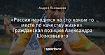 «Россия находится на сто-каком-то месте по качеству жизни». Гражданская позиция Александра Шовковского