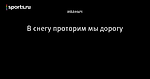 🐶 В снегу проторим мы дорогу