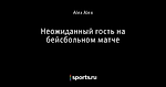 Неожиданный гость на бейсбольном матче