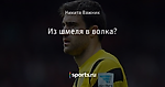 Из шмеля в волка? - Из жизни шмелей - Блоги - Sports.ru