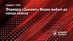 Форвард «Динамо» Ведин выбыл до конца сезона