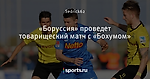 «Боруссия» проведет товарищеский матч с «Бохумом» - Боруссия Дортмунд - Блоги - Sports.ru