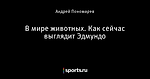 В мире животных. Как сейчас выглядит Эдмундо