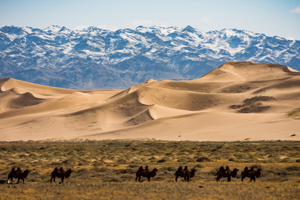 Гоби это пустыня. Монголия Гоби. Пустыня Гоби пустыни Азии. Равнина Гоби. Монголия Заалтайская Гоби.