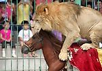 Битый небитого везёт - Фрикции. Animals - Блоги - Sports.ru