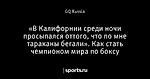 «В Калифорнии среди ночи просыпался оттого, что по мне тараканы бегали». Как стать чемпионом мира по боксу