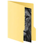 Мемы читателей