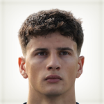 Андреа Контадини