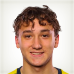 Илие Ботнарь