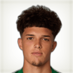 Флавиу Гонсалвеш