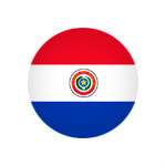 Сборная Парагвая по футболу - статистика 2010