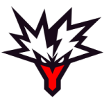 Team Yandex