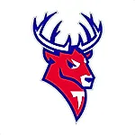 Торпедо Торпедо