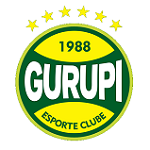 Гурупи - статистика 2013