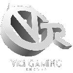 Vici Gaming Reborn - материалы Dota 2 - материалы