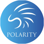 Polarity Dota 2