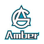 Amber Gaming Dota 2