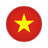Сборная Вьетнама по футболу 