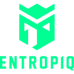 Состав команды Entropiq
