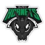 Black Hornets Gaming Dota 2