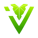 IVY Valorant - новости
