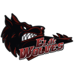 Elite Wolves Dota 2