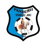 Пандурий - матчи 2007/2008