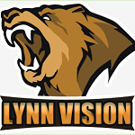 Lynn Vision CS 2