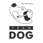 Team Dog - материалы Dota 2 - материалы
