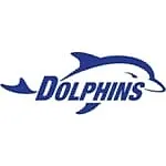 Dolphins League of Legends
