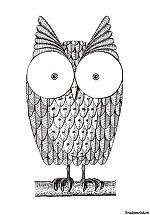 3Lutz+3Loop, 3Lutz+3Loop