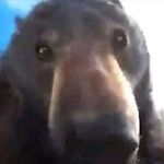 Артём Назмутдинов, Артём Назмутдинов