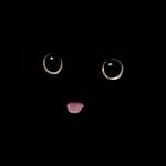 istillcantsleep, istillcantsleep