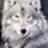 serwolf11