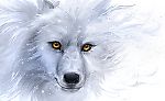 Canis, Canis
