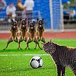 sunrise1596, sunrise1596