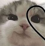 Алёна Иващенко, Алёна Иващенко