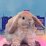 sad_dread, sad_dread