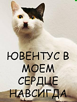 gnom 1488, gnom 1488