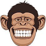 Dimichcska, Dimichcska