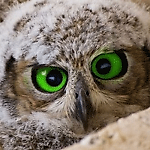 ArTuR_RM&DR, ArTuR_RM&DR