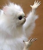 Илья Боткин, Илья Боткин