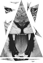 ProEffect, ProEffect