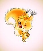 squirrel2018, squirrel2018