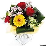 ялюблюпарасольку, ялюблюпарасольку