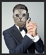 medeo1919, medeo1919