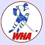 A Man who love hockey, A Man who love hockey