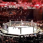 mamaamammafan, mamaamammafan